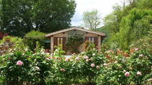 A rustic building with a sloped roof, surrounded by lush greenery and blooming pink roses. - Casale Eredità cottage countryside Tiber Valley  private  pool 70 km North Rome (Orte)