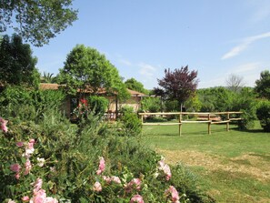 Área da propriedade