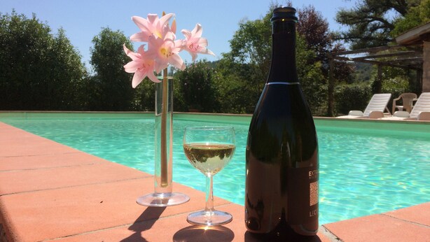 A bottle of wine, a glass, and pink flowers on a poolside. - Casale Eredità cottage countryside Tiber Valley  private  pool 70 km North Rome (Orte)