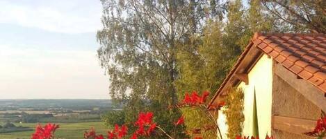 المنطقة المحيطة بالمنشأة