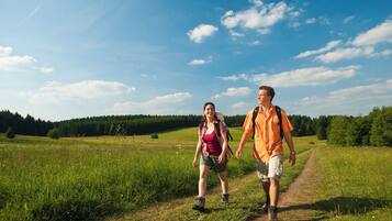 Zwei Personen laufen auf einem Feldweg durch ein grasbewachsenes Feld, im Hintergrund Bäume.