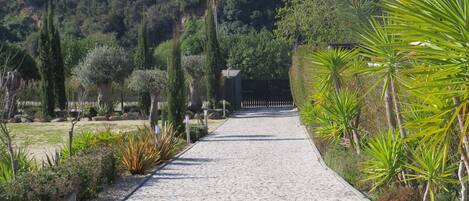 Áreas de la propiedad