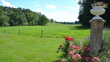 A grassy field with a stone pillar and flowers.