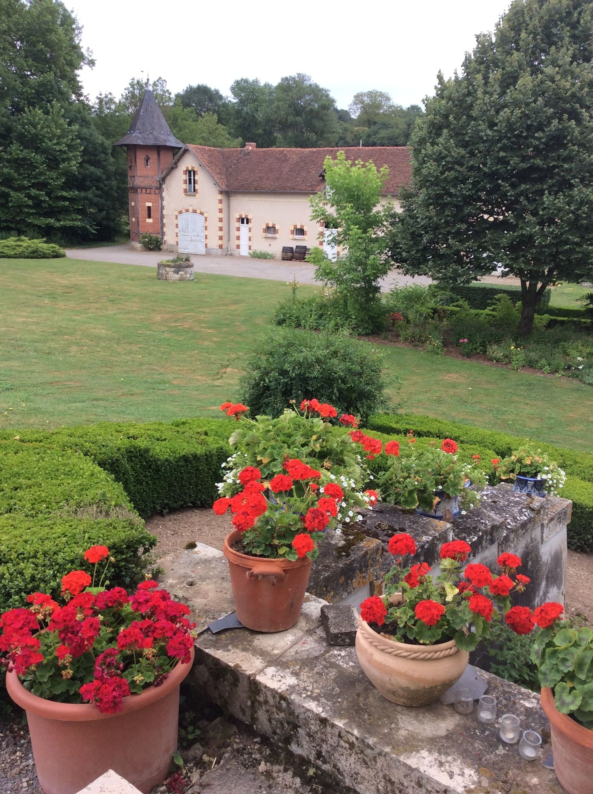 A courtyard with a building featuring a tower, surrounded by well-maintained hedges and potted geraniums.
