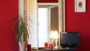 A hotel room with a red wall, a large mirror, a television, a small table with a plant, and a marble fireplace. - Manoir de Curty (Imphy)