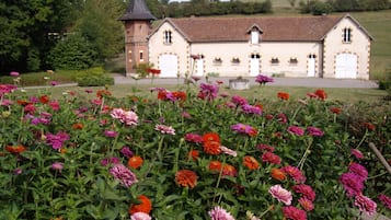 Tuin