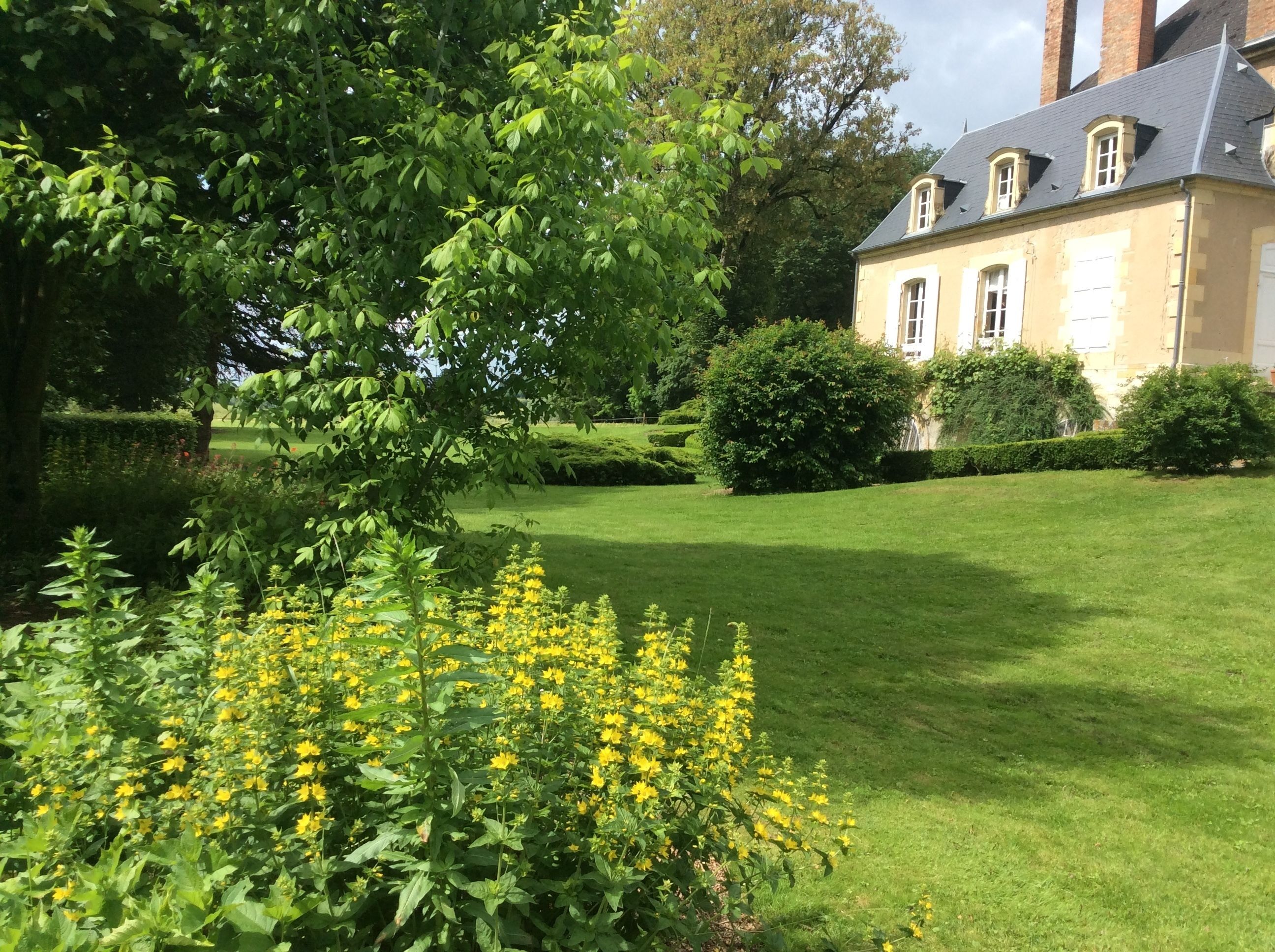 Ein gepflegter Garten mit verschiedenen Pflanzen und Blumen, einem ordentlich gestutzten Rasen und einem großzügigen Gebäude im Hintergrund mit klassischer Architektur.