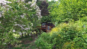 Eine Holzhütte mit einer Terrasse, umgeben von üppiger Vegetation und blühenden Bäumen.