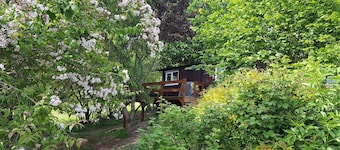 Rowan Tree Lodge with Hot Tub, a beautiful Woodland Retreat in Shropshire
