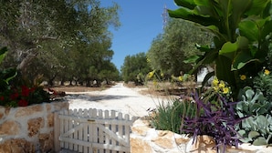 A stone wall with a white gate, surrounded by trees and plants. - Beautiful Character Villa and Trullo in Ostuni Olive Grove with Private Pool (Ostuni 72017 (BR))