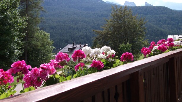Een balkon met kleurrijke bloemen, met uitzicht op een bergachtig landschap.