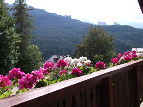 Appartement - Cortina d'Ampezzo