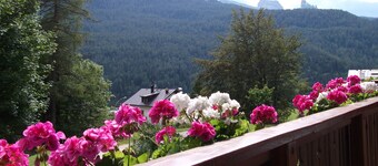 Apartment/ flat - Cortina d'Ampezzo