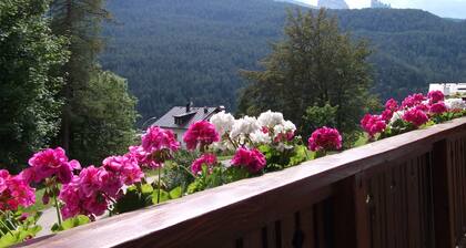 Apartment/ flat - Cortina d'Ampezzo