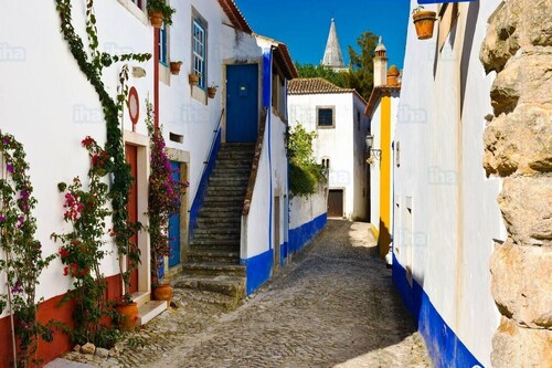 House / Villa - OBIDOS