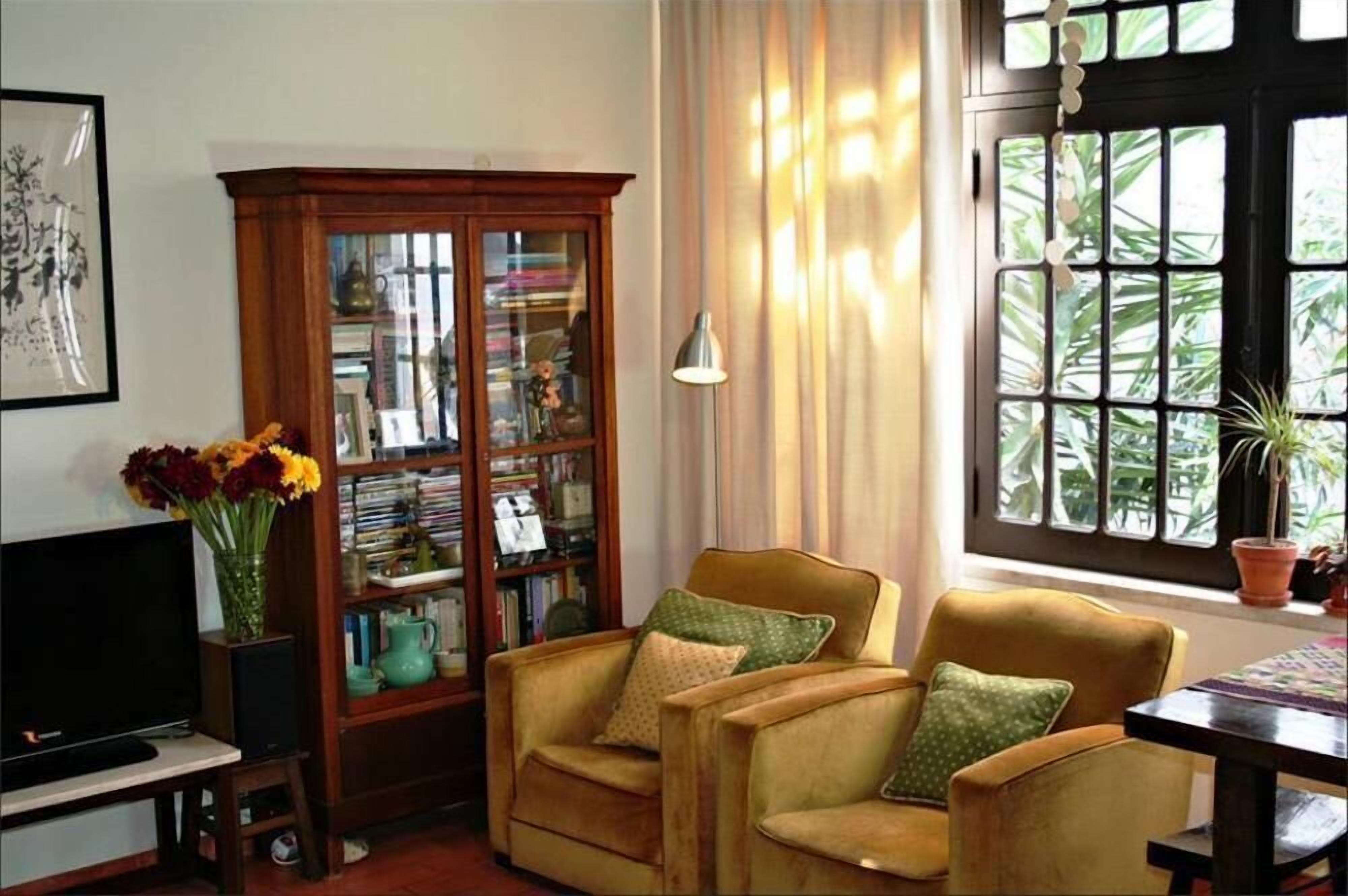 TV connectée, cheminée, lecteur de DVD, livres