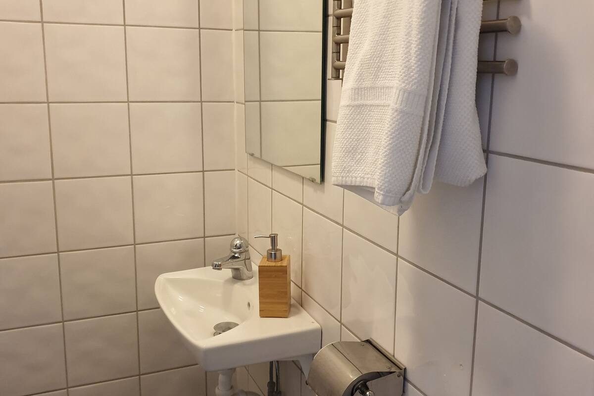 single room | bathroom | shower, free toiletries, hair dryer, towels