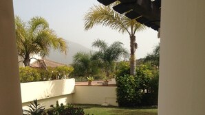 Un jardín con palmeras, un muro blanco y un sendero con baldosas.