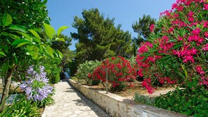 Property grounds - Luxury house with pool, direct beach & jetty access, stunning 270° sea view  (Vela Luka)