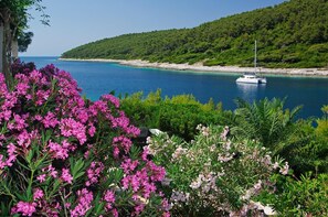 4 bedrooms, in-room safe, desk, iron/ironing board