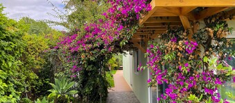 Terra VivAz - Ribeira Cottage Garden Suite