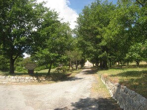 Property grounds - House with character (La Verdiere)