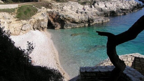 A coastal landscape with rocky cliffs, clear turquoise water, and a tree in the foreground.