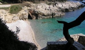 A coastal landscape with rocky cliffs, clear turquoise water, and a tree in the foreground. - Apartment is in center of Pula, just next to amphitheater- close to all events!! (Pula)