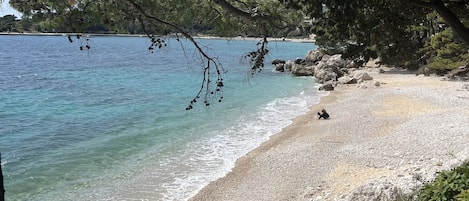 Plage à proximité, chaises longues