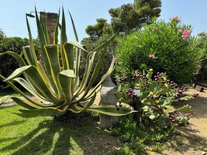 Property grounds - Villa by the sea, close to the harbor and in the marine protected area of Capo Carbonara (Villasimius)