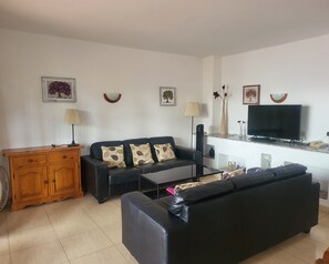 Televisie, een dvd-speler, een tafeltennistafel en boeken