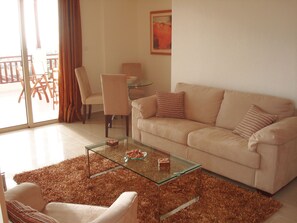 TV, DVD player, books, video library