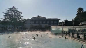 A public bath area with multiple people in the water, a large tree, and a building in the background.