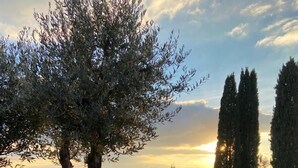 A garden with a large tree, a stone structure, and a view of the sunset.