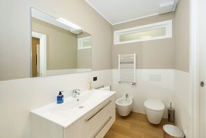 Shower, hair dryer, bidet, towels