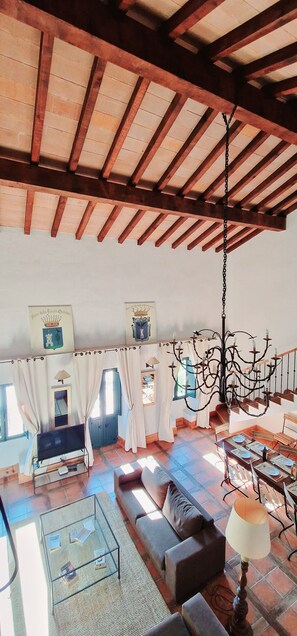 Televisión, chimenea y libros 