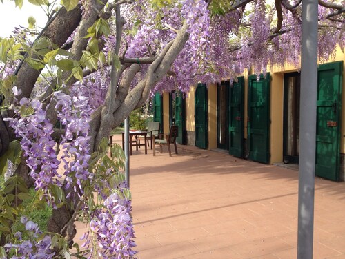 country villa with private pool between Bolgheri & Castagneto 5 km from the sea