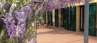 country villa with private pool between Bolgheri & Castagneto 5 km from the sea