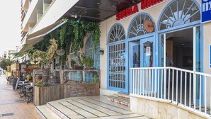 A restaurant with outdoor seating, blue-framed windows, and a sign reading "STELLA".
