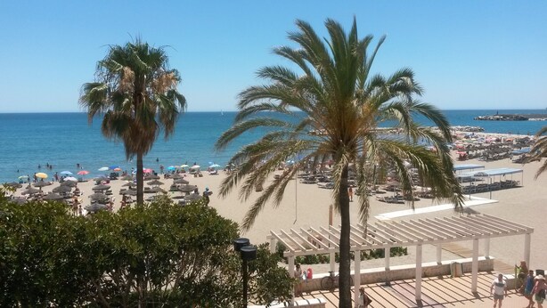 A beach with palm trees, umbrellas, and lounge chairs.