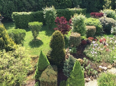 Garden view