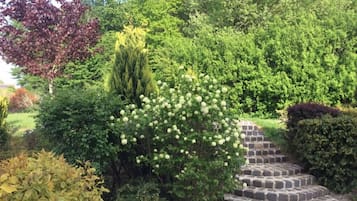 Stroll through a serene garden with lush greenery, a bush with white flowers, and a tall tree, surrounded by a low stone wall.