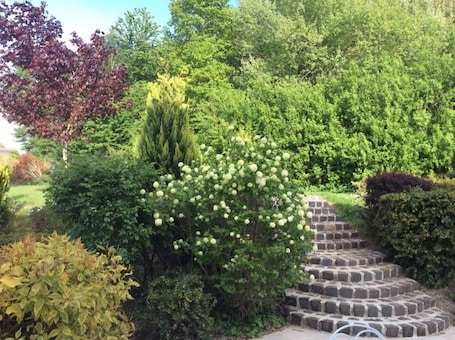 Garden. Les Corettes