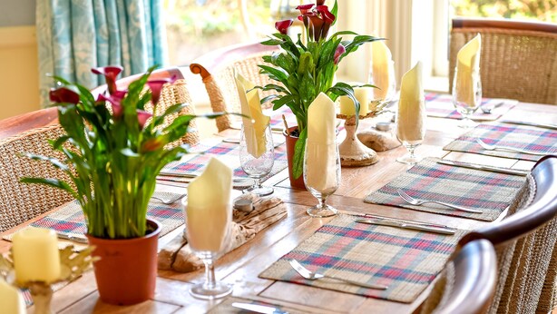 A dining table set with glassware, napkins, and a potted plant. - GORGEOUS SPACIOUS  FAMILY HOUSE IN THE CENTRE OF ABERSOCH (Abersoch)