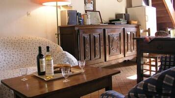 Télévision, cheminée, lecteur de DVD, livres