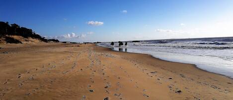 Beach nearby