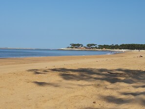 Beach nearby - House just a stone's throw from LA PALMYRE zoo and beaches. (LES MATHES)