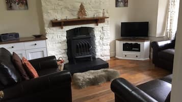 TV, fireplace, DVD player, books