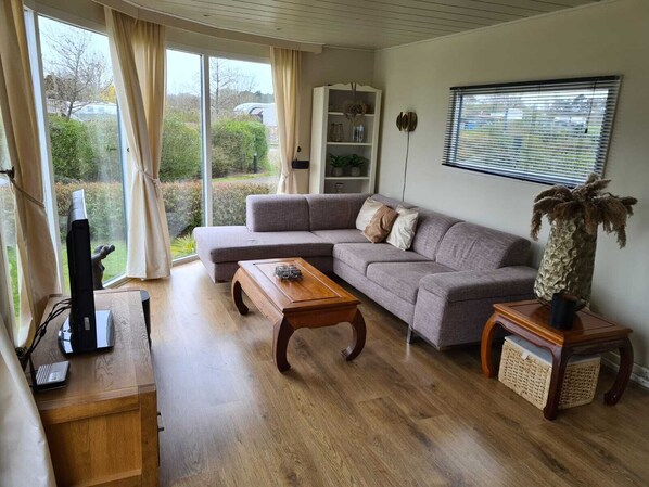 Smart TV, video games, DVD player, books