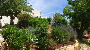 Un sendero en un jardín con diversas plantas y flores.